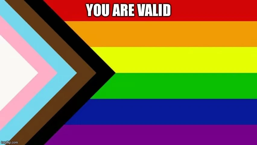 The Progress Pride flag featuring the traditional rainbow stripes alongside a chevron with black, brown, light blue, pink, and white stripes, with the text "YOU ARE VALID" centered at the top.