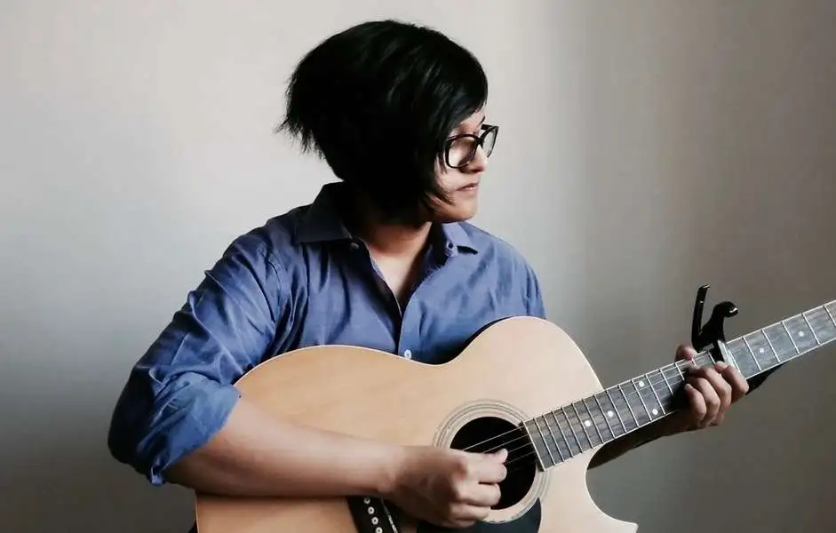 GrapeGuitarBox Singer 