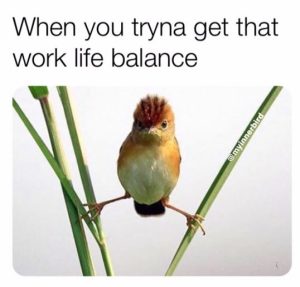 90 Hour Work Life Balance 