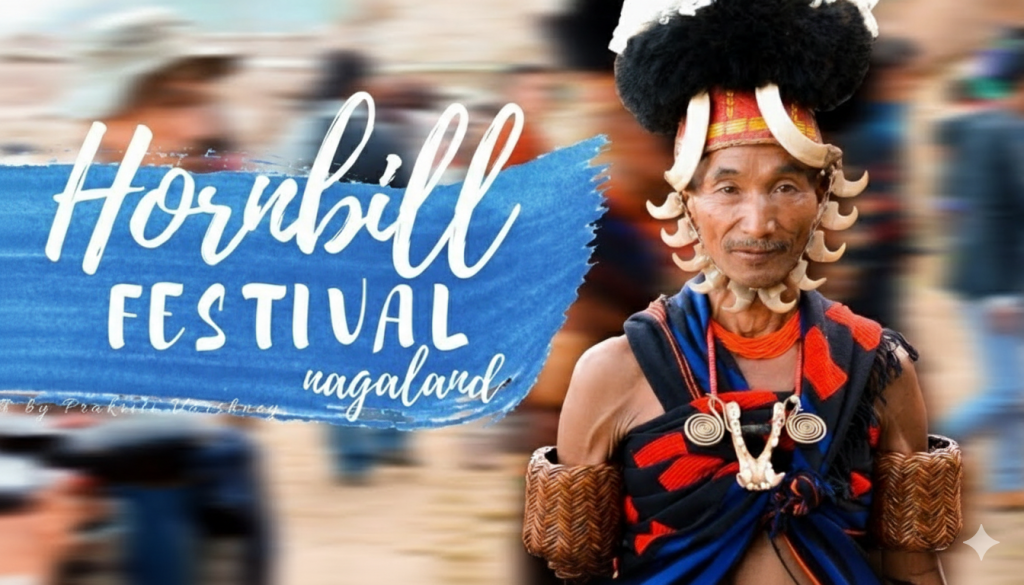 Hornbill