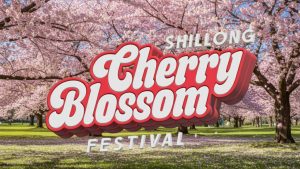 Cherry blossom fest