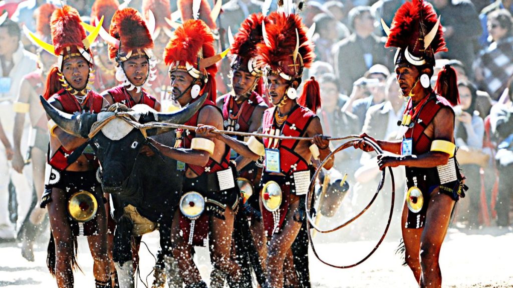 Hornbill Fest