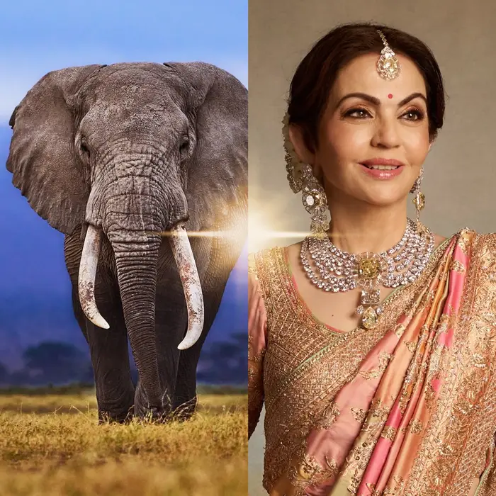 Nita Ambani Nature's Matriarch