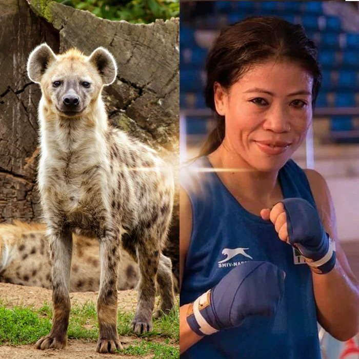 Mary Kom Nature's Matriarch