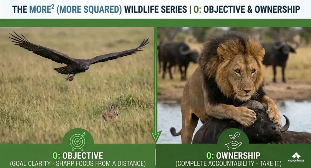 A two-panel comparison with an eagle in sharp flight focus representing 'Objective' and a lion taking accountability for its prey representing 'Ownership' as part of the MORE² wildlife series.