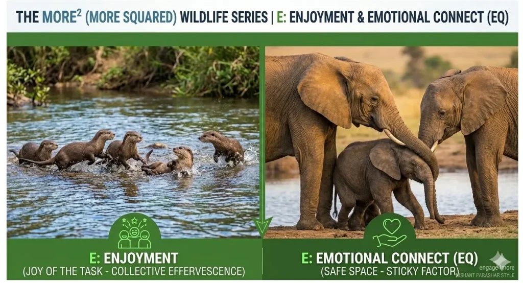 Side-by-side images of otters playing in a river (Enjoyment) and elephants touching trunks with a calf (Emotional Connect).