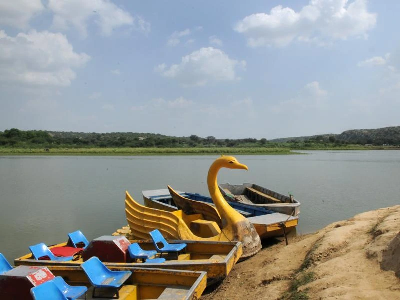 Yellow swan-shaped paddle boats and blue seating boats docked at the edge of Damdama Lake in Gurgaon, surrounded by the Aravali hills—a prime location for corporate team outings.